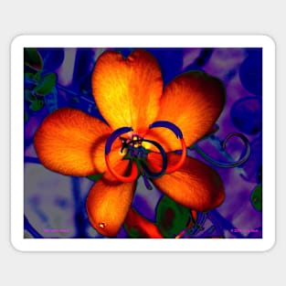 Mandarin Petals Sticker